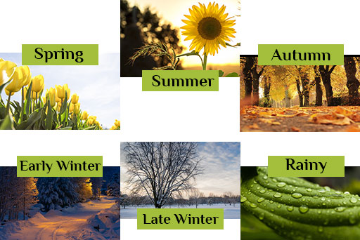 6 different seasons according to Ayurveda - summer, early winter, late winter, spring, autumn, rainy
