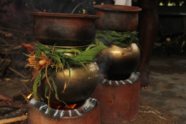 Turmeric stalk tied around Pongal pot with kumkum applied